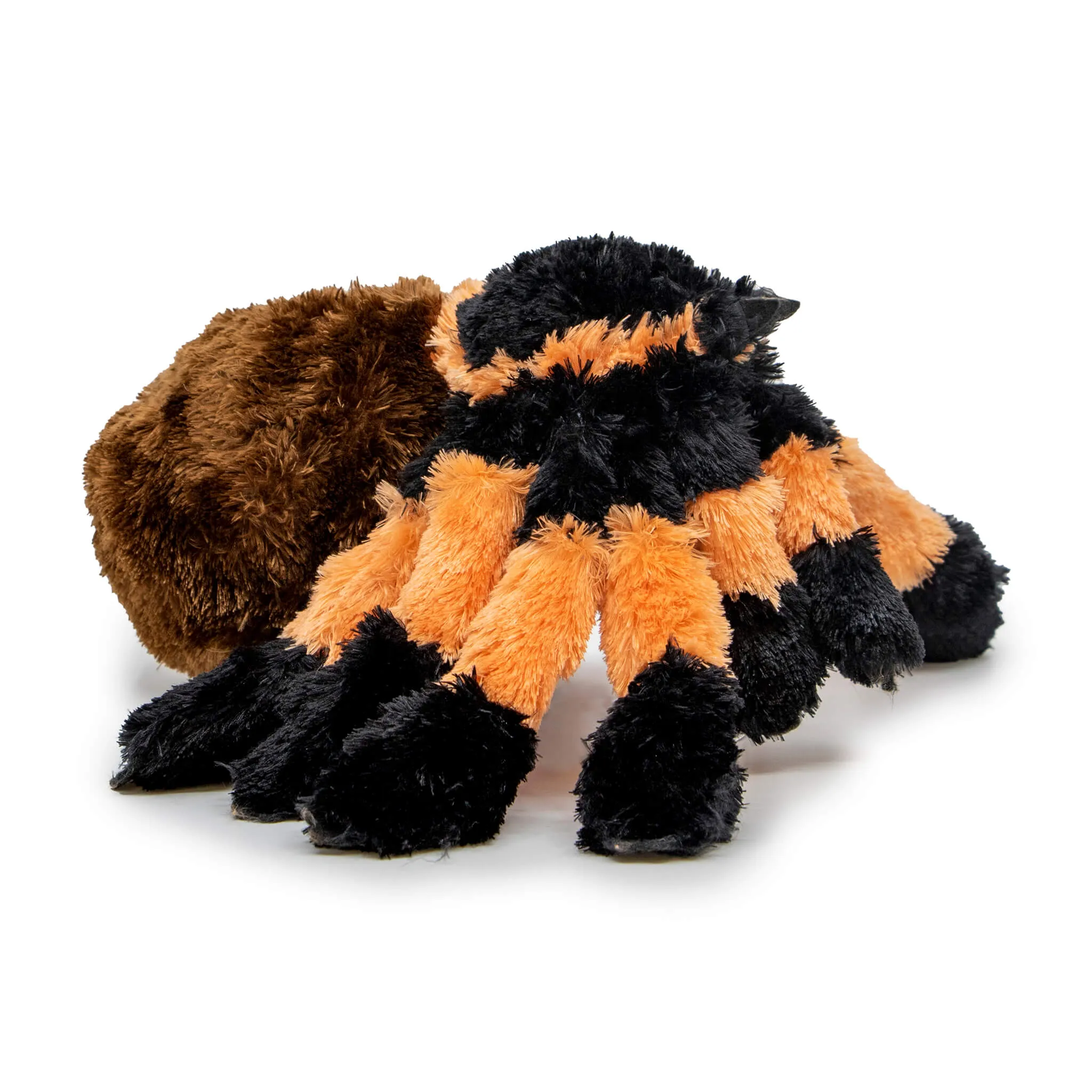18419 australian tarantula