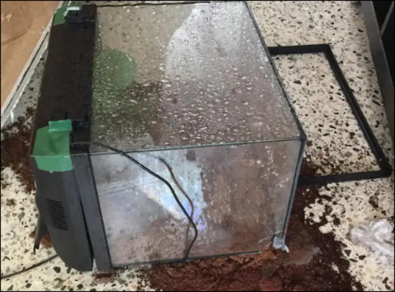 18419 tarantula enclosure