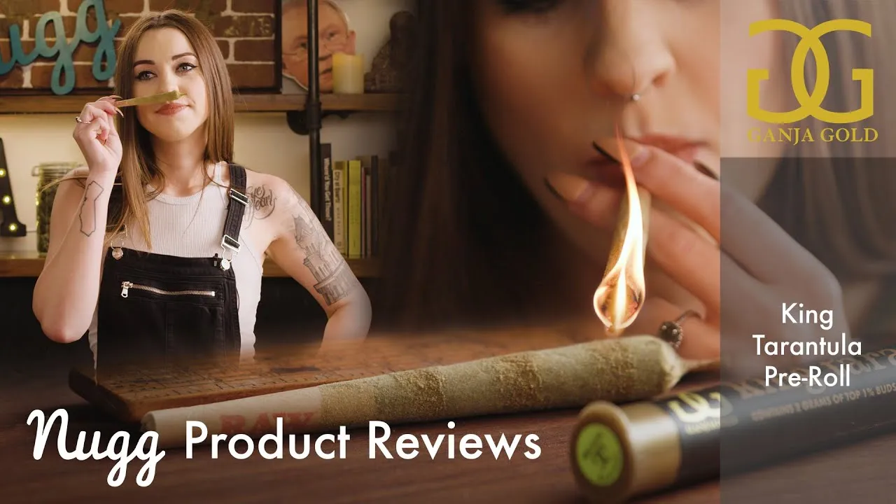 18421 cannabis legalization france