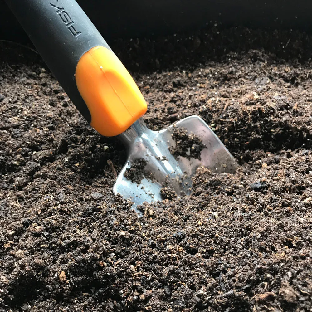 18452 vermicast tarantula 3