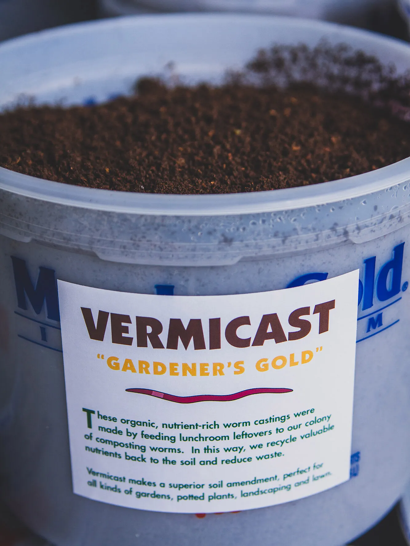 18452 vermicast tarantula 6