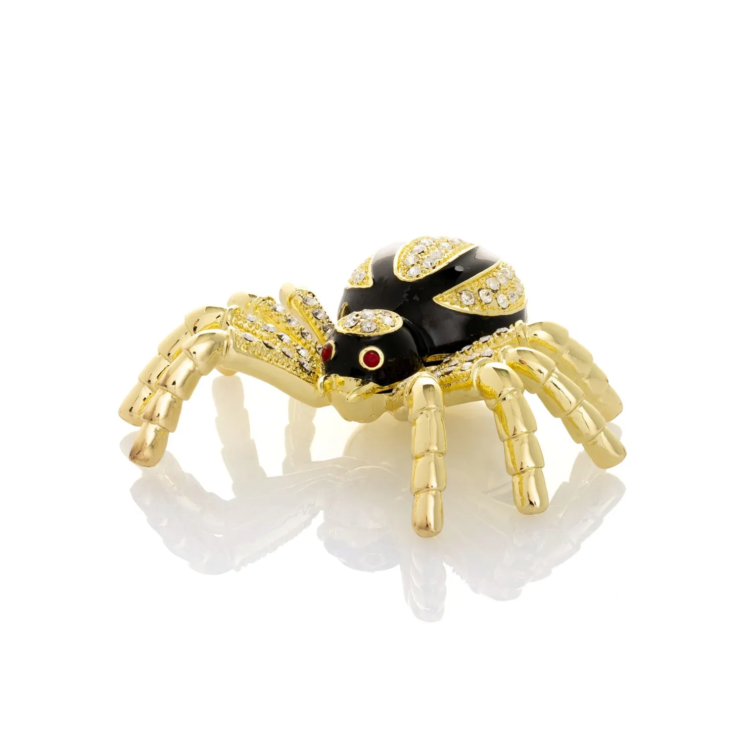 18463 black and gold tarantula shedding