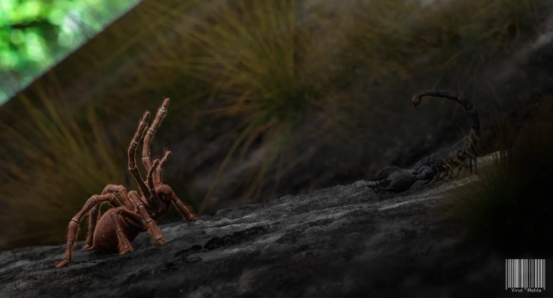 18478 scorpion vs tarantula main