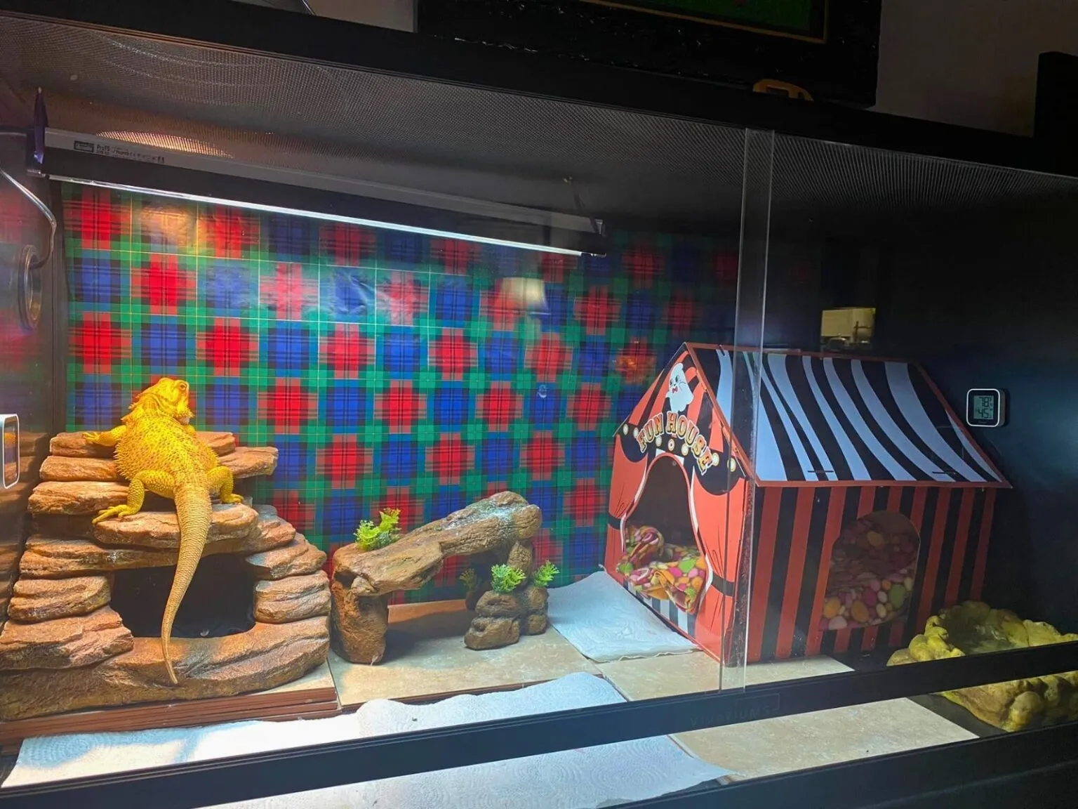 18493 bioactive enclosure