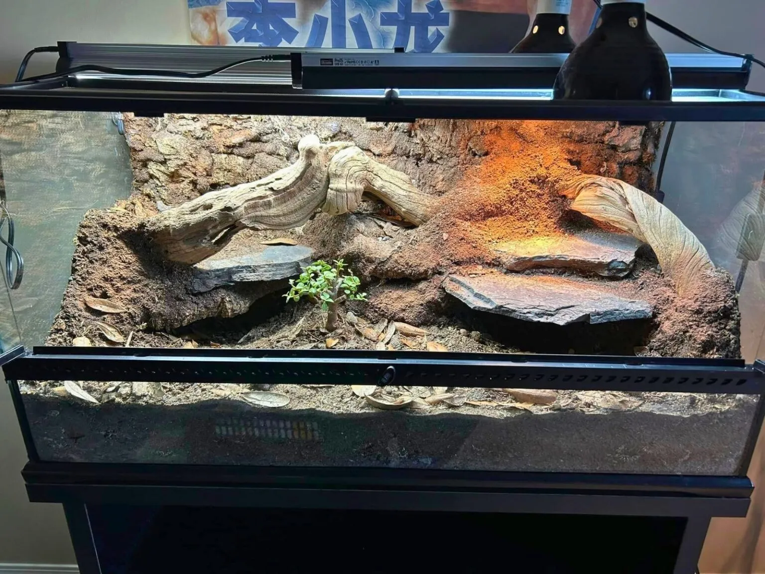 18493 desert oasis enclosure