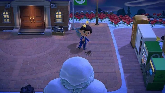 18511 acnh island preparation