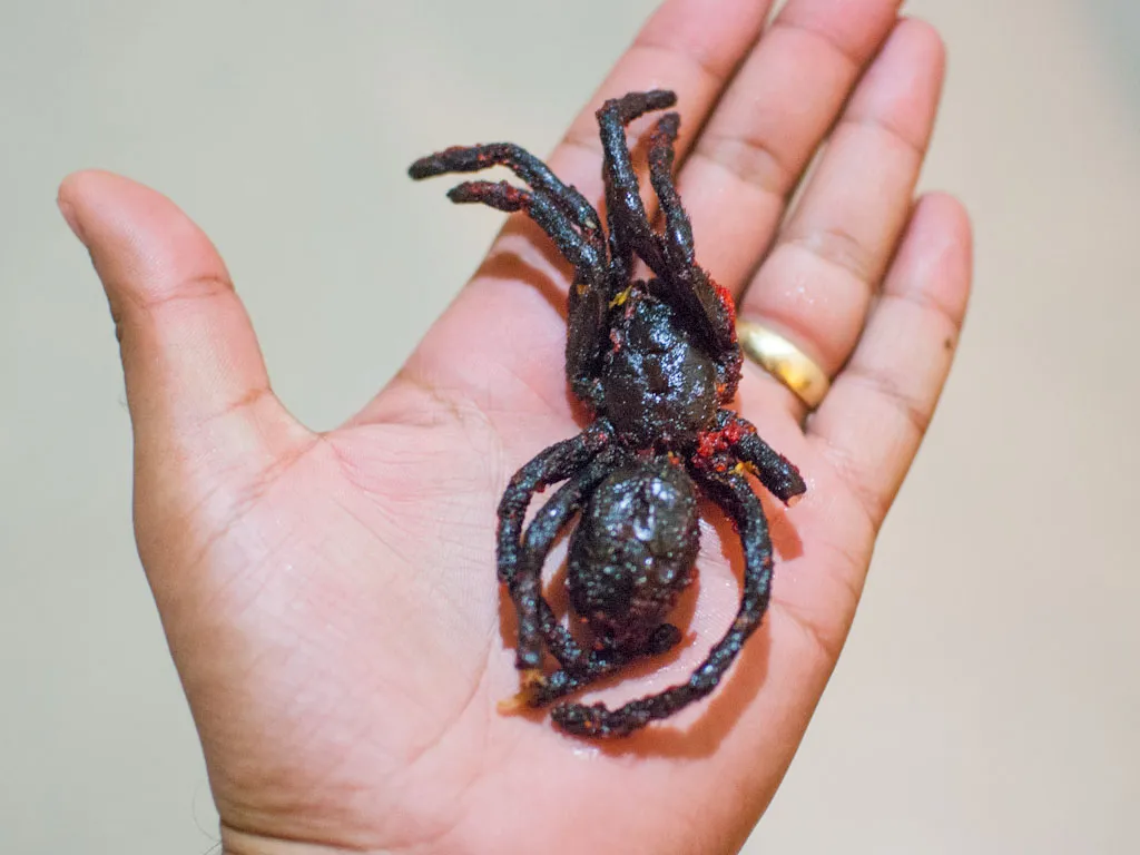 18519 eating fried tarantula