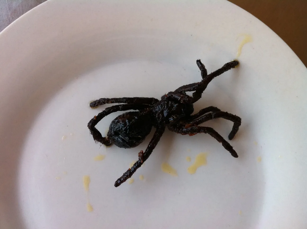 18519 international market