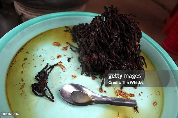 18519 street food stall