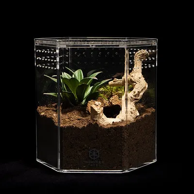 18537 tarantula enclosure decor