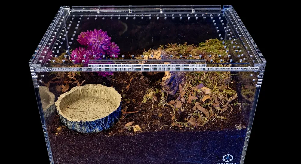 18537 tarantula enclosure overview