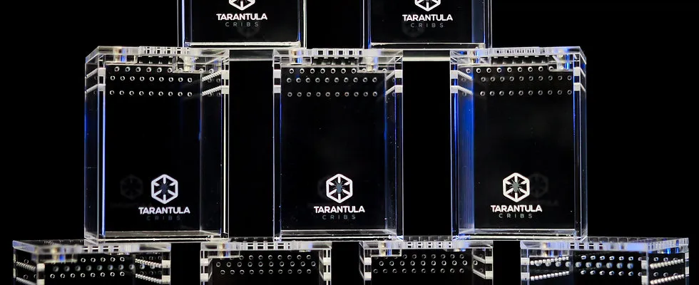 18537 tarantula temperature humidity