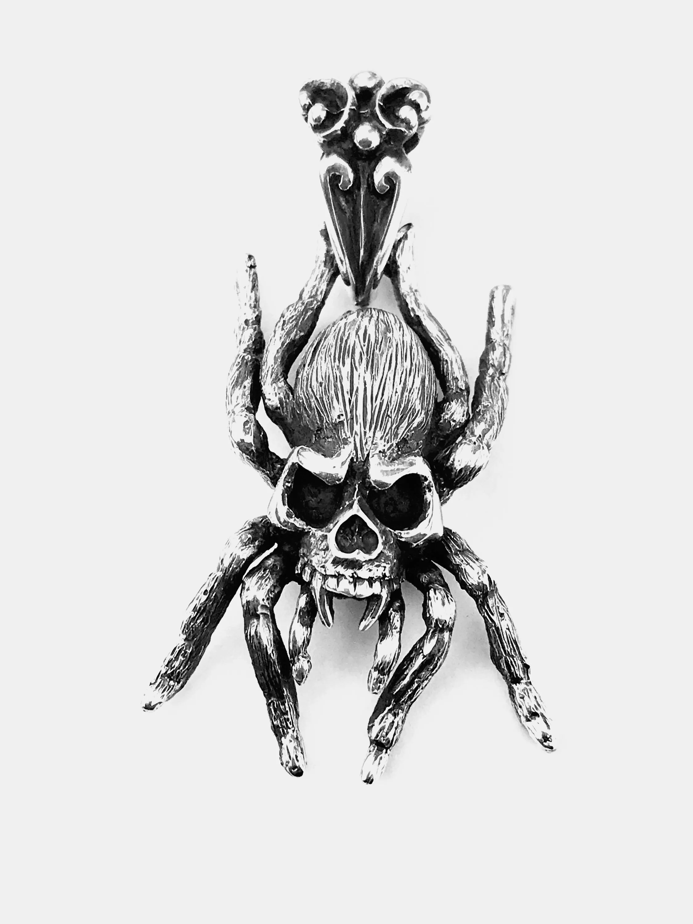 18542 skull tarantula conservation