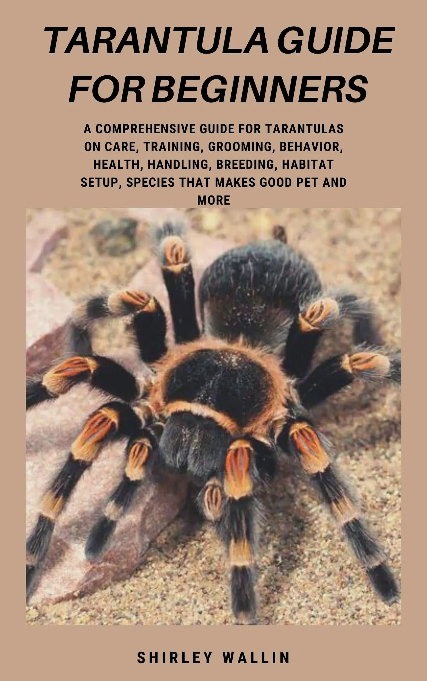 /img/18550-tarantula-reward.webp