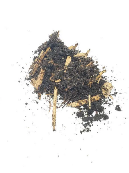 18565 sphagnum moss substrate