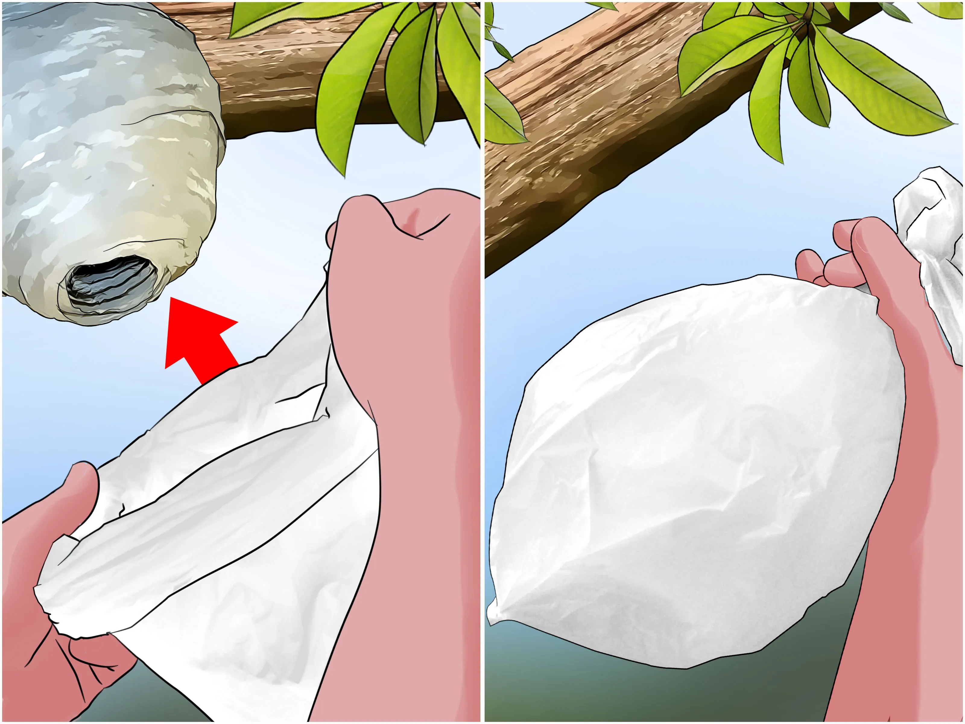 18574 insecticide spray