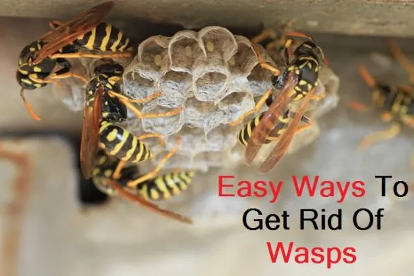 18574 sealing entry points