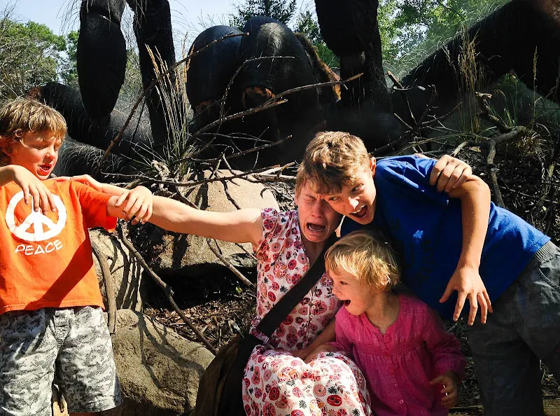 18598 bite site inflammation