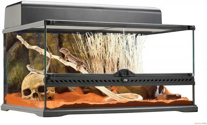 18632 tarantula size enclosure