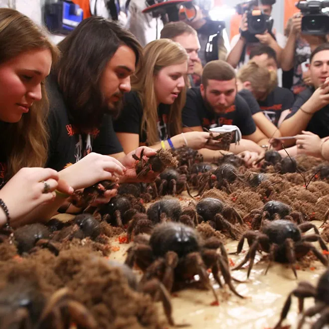 18636 tarantula illness