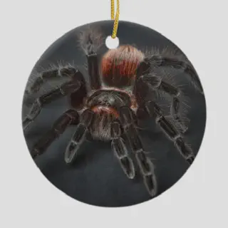 /img/18711-tarantula-ornament-joy.webp