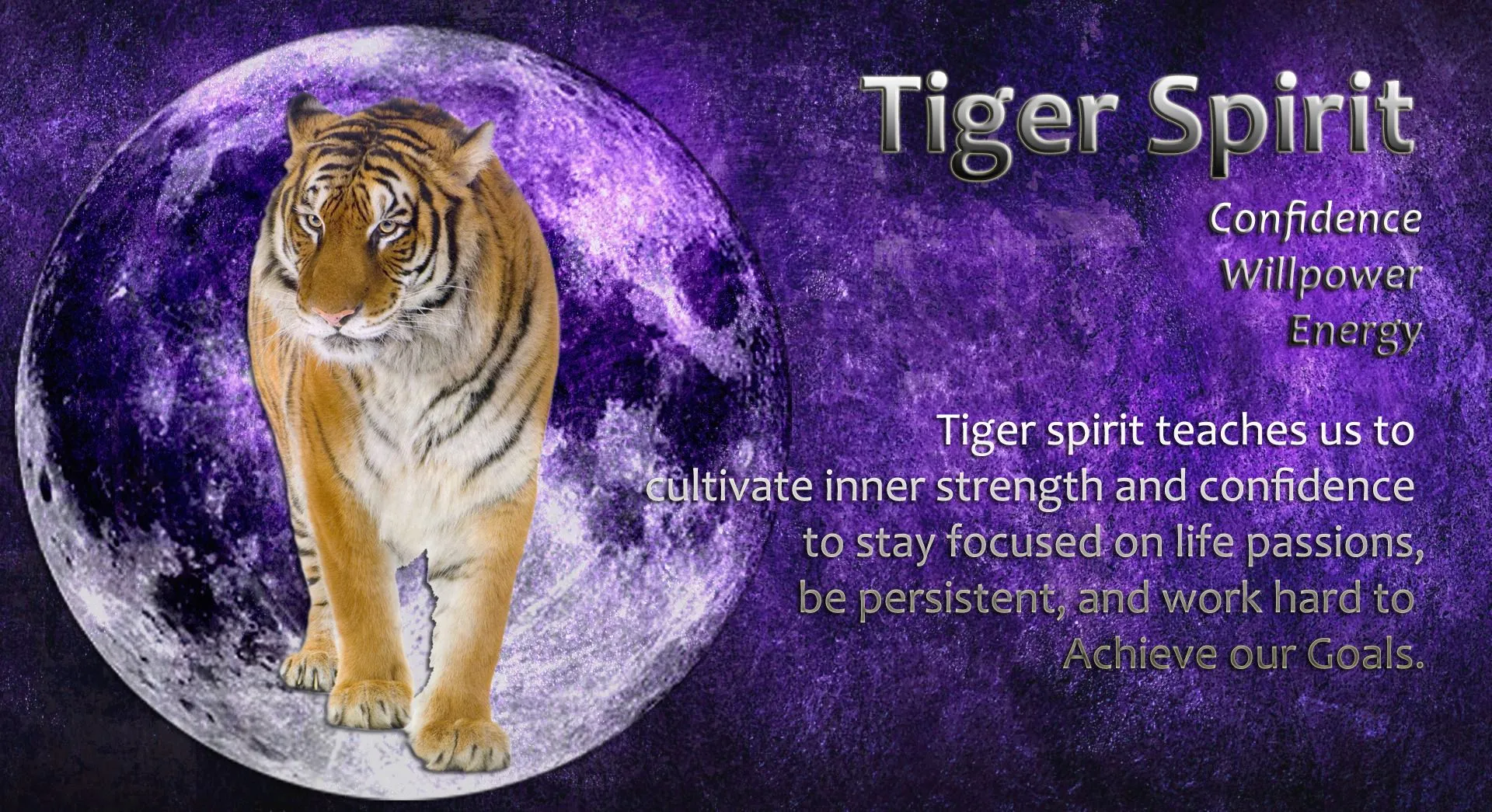 18715 tarantula meditation