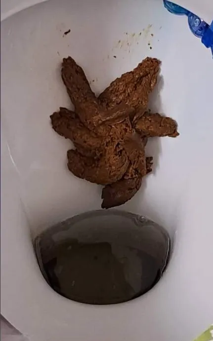 18733 tarantula feeding