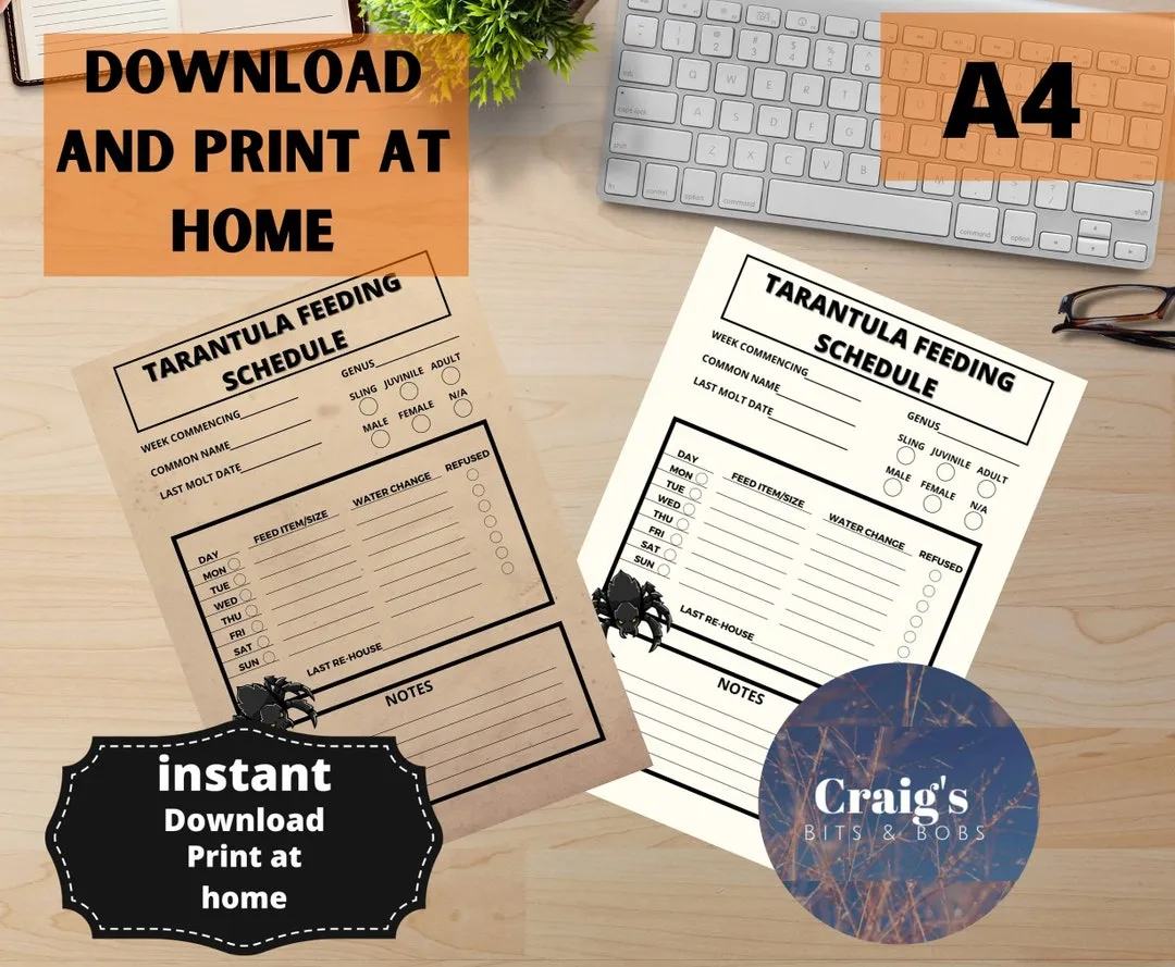 18736 pink toe tarantula juvenile